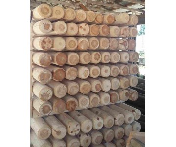 Rondin de bois diamètre 6 cm