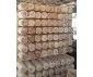 Rondin de bois diamètre 16 cm