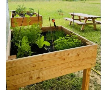 table potagère en douglas origine France, 1m par 1mètre- fabriquée par CIHB. table potagère en douglas origine France, 1m par 1mètre- fabriquée par CIHB.