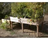 Table potagère en bois grandes dimensions, fabriquée en France par CIHB