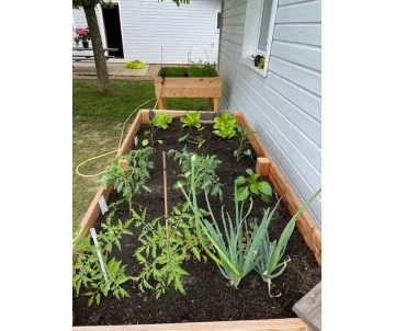 Table potagère en douglas origine France, fabriquée par CIHB- longueur 2 mètres